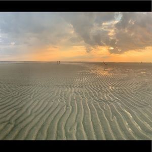 Meet your Posher, Jessie